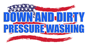 Down & Dirty Pressure Washing