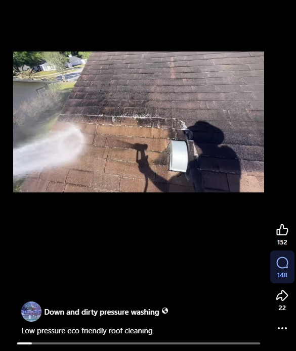 Roof Cleaning Reel