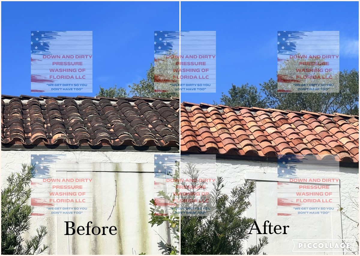 Roof Cleaning Results
