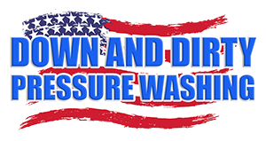 Down & Dirty Pressure Washing logo